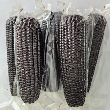 Corns doux noirs de haute qualité