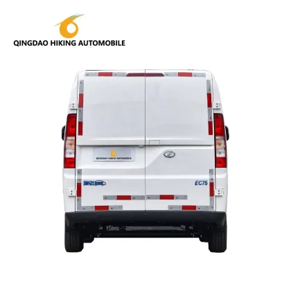 RUICHI RICH EC75 FWD Electric Van - 2 Seats Pure Electric Cargo Van by DFSK