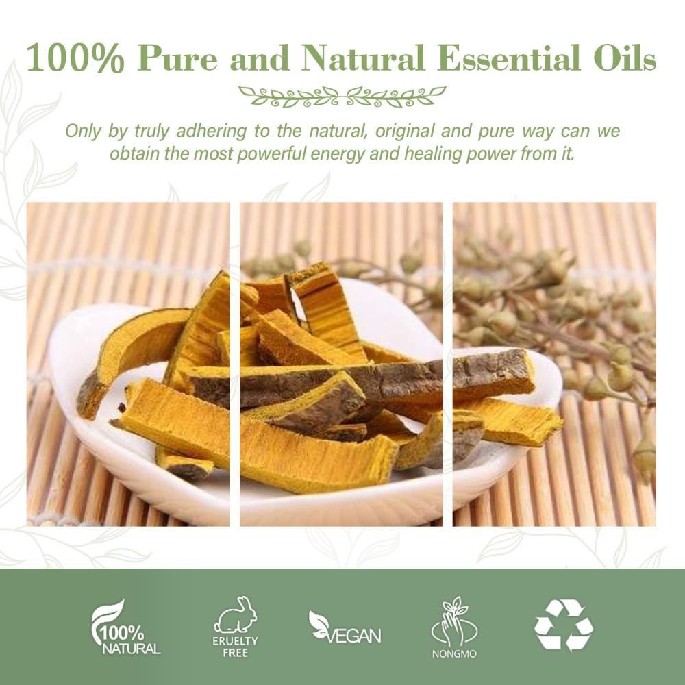 Pure Extract Oil Phellodendron Amurense Bark and Cortex Phellodendri Oil