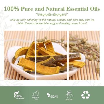 Pure Extract Oil Phellodendron Amurense Bark and Cortex Phellodendri Oil