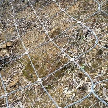 High-Tensile Slope Stabilization: Exploring Steel Wire Mesh Solutions for Rockfall Protection