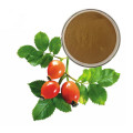 100% natural rosehips extract powder