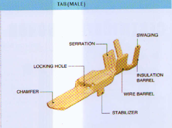 terminal male