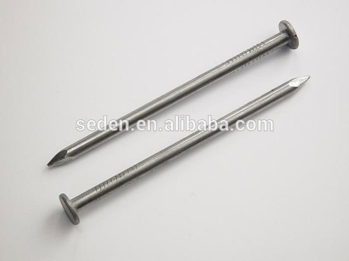 E.G. steel concrete nails manufacturer/fluted concrete nails/galvanized cement nails factory