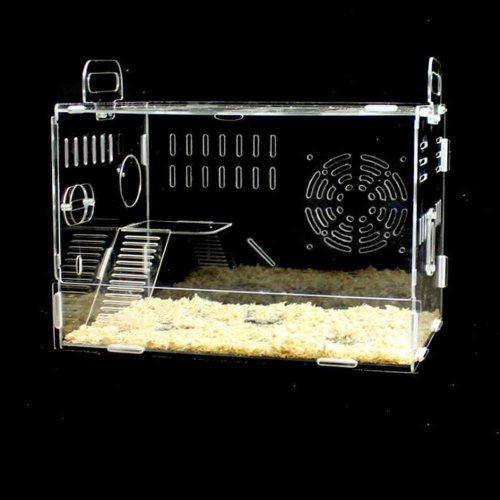 factory direct sale high quality pet hamster supplies