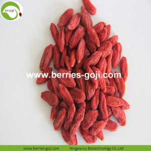 Factory Supply Fruits Healthy No Suger Goji Berry