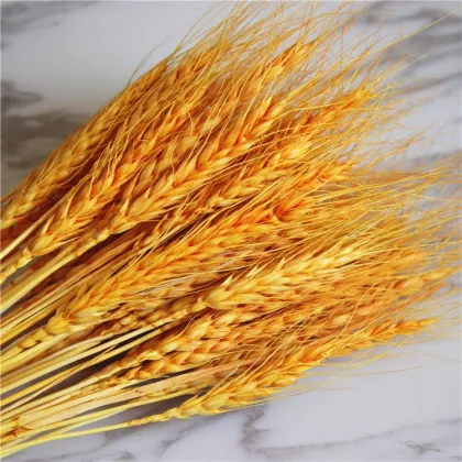 Pastoral Dried Wheat Flower Wreath - Home Decor & Event Occasion Use