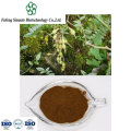 Organic Sophora Tonkinensis Extract for Herbal Wellness Products