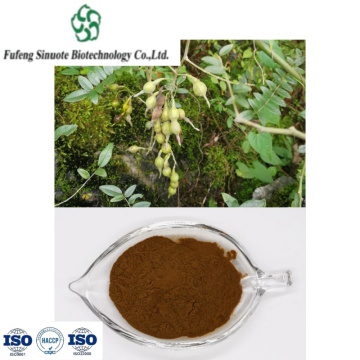 Organic Sophora Tonkinensis Extract for Herbal Wellness Products