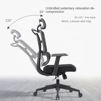 Modern Office Ergonomic Chair - Aluminum Contemporary Executive Home Computer Chair