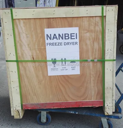 Digital High Vacuum Drying Oven for Pharmaceutical Laboratories