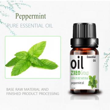 OEM ODM Wholesale Peppermint Essential Oil Purify Air