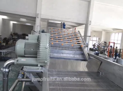 automatic mushroom sauce production line