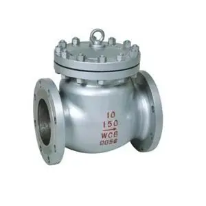 Class 150 check valve 10 Inch