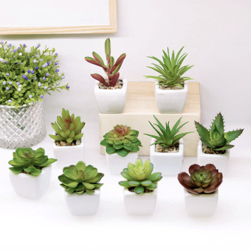 Mini-céramiques de haute qualité simulations succulentes et plantes vertes en plastique tropical
