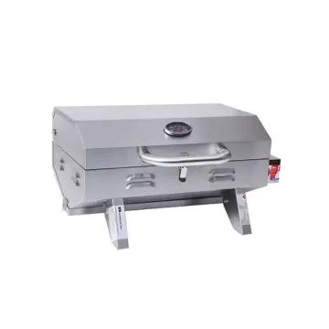 Outdoor Gas Grill for Barbecue, 2 Burners Table Top Stainless Steel Portable BBQ