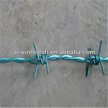 military concertina barbed wire