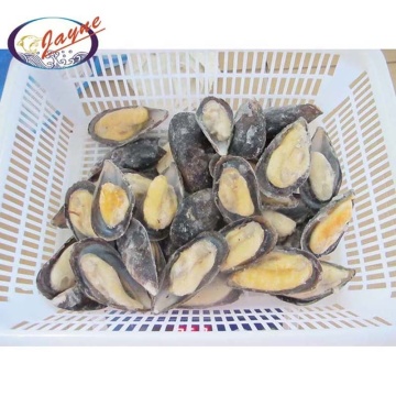 Healthy high quality product iqf mussel half shell hot sale on the market