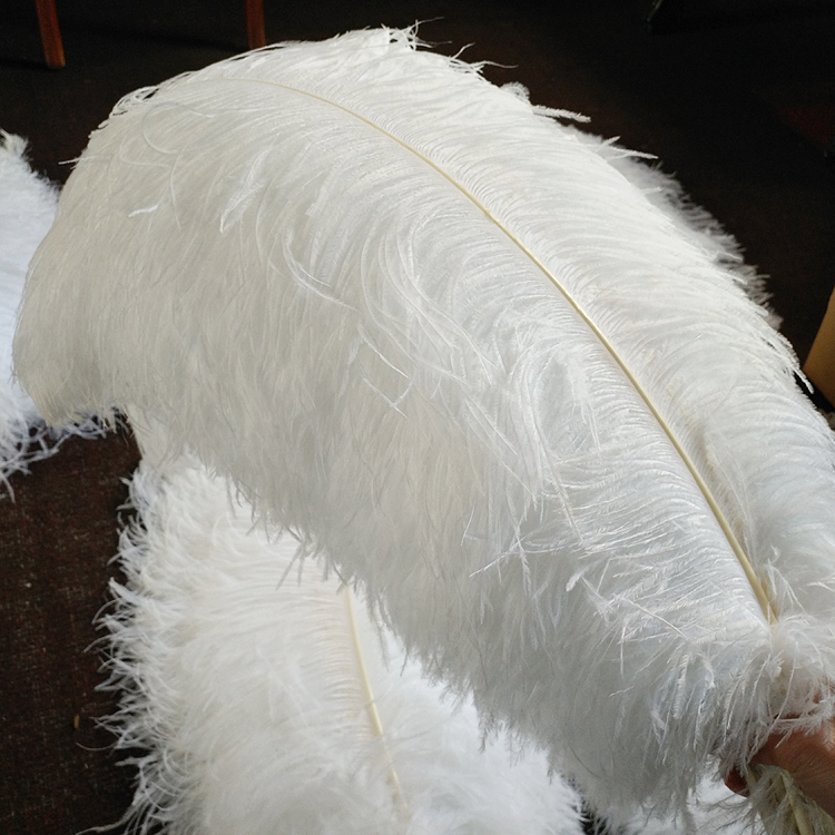 Pluma de avestruz blanca a granel para el diseño de la decoración de la boda