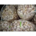 Hot  Sale Normal White Garlic