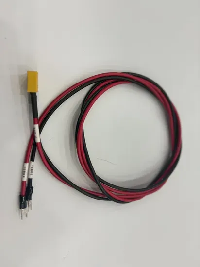 Custom Power Exchange Cabinet Wiring Harness Assembly