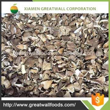 dried oyster mushroom for sale