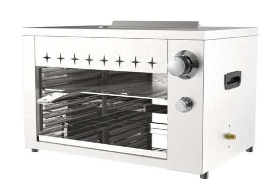 Single Burner Gas Steak & Pizza Maker