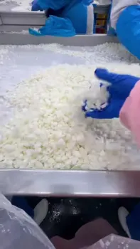 Clean Cut IQF Frozen Diced Onion