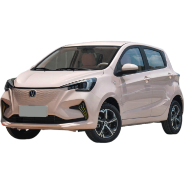 Changan BenBen E-STAR 2023 Model Multi-Color