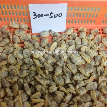 high quality frozen cooked short necked clam meat