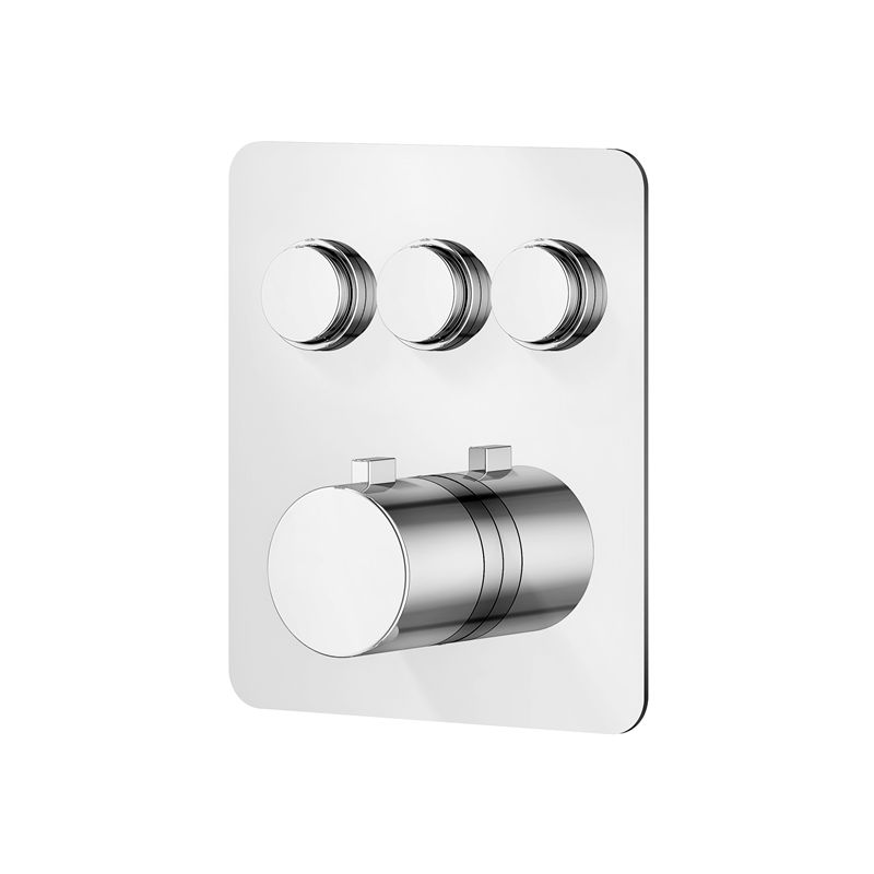 Thermostatic Shower Control