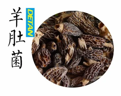 Dried morels Wild Hot Sell New Season