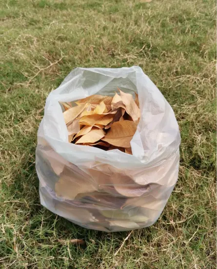 ASTM D6400 Compostable Garden Lawn Leaf Collection Bags