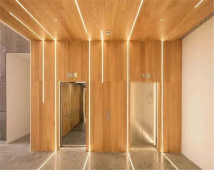 Modern LED Strips 04x10mm LED Thread Light - Samsung Neon Lights Strip