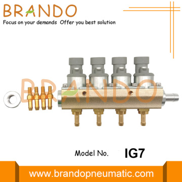 4 Cylinder LPG CNG IG7 Dakota Injector Rail