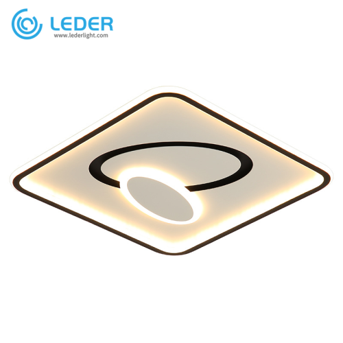 LEDER Decorative Room Ceiling Lights