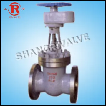 Spur Gear Flange Gate Valve (Z441Y-100)