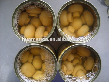 425g canned mushroom whole in brine
