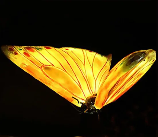 Small Butterfly B Lights