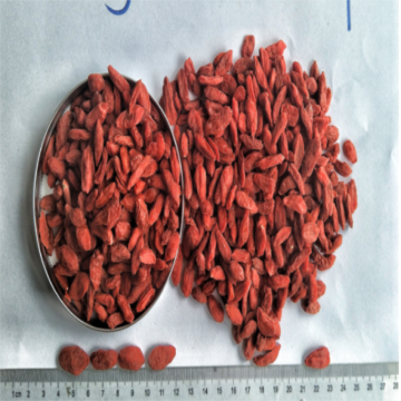 Certified Hot sale Dried Organic red Goji berry/wolfberry