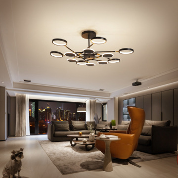 LEDER Led Home Ceiling Lightings