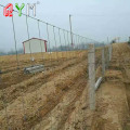 Farm Fence Wire Mesh Galvanizzato Panna di recinzione del bestiame