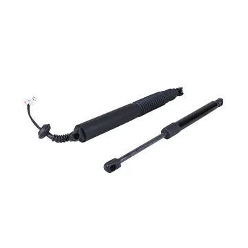 Tailgate Lift Supports for Tesla Model 3 Power Rear Door Struts (155148898B, 155148900B)