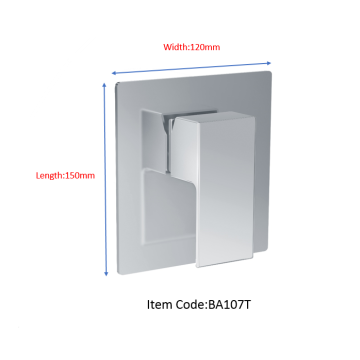 Brass Square Conceal Mixer