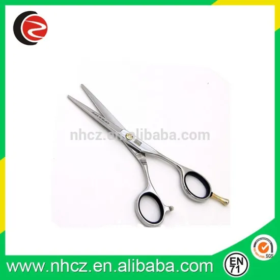 Stainless Steel Folding Scissors