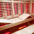 Newly luxury Family Sauna room steam sauna cabin