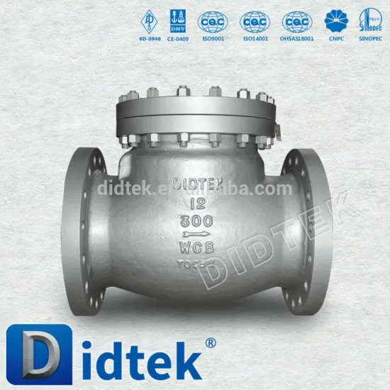 Cast Steel Swing Check Valve