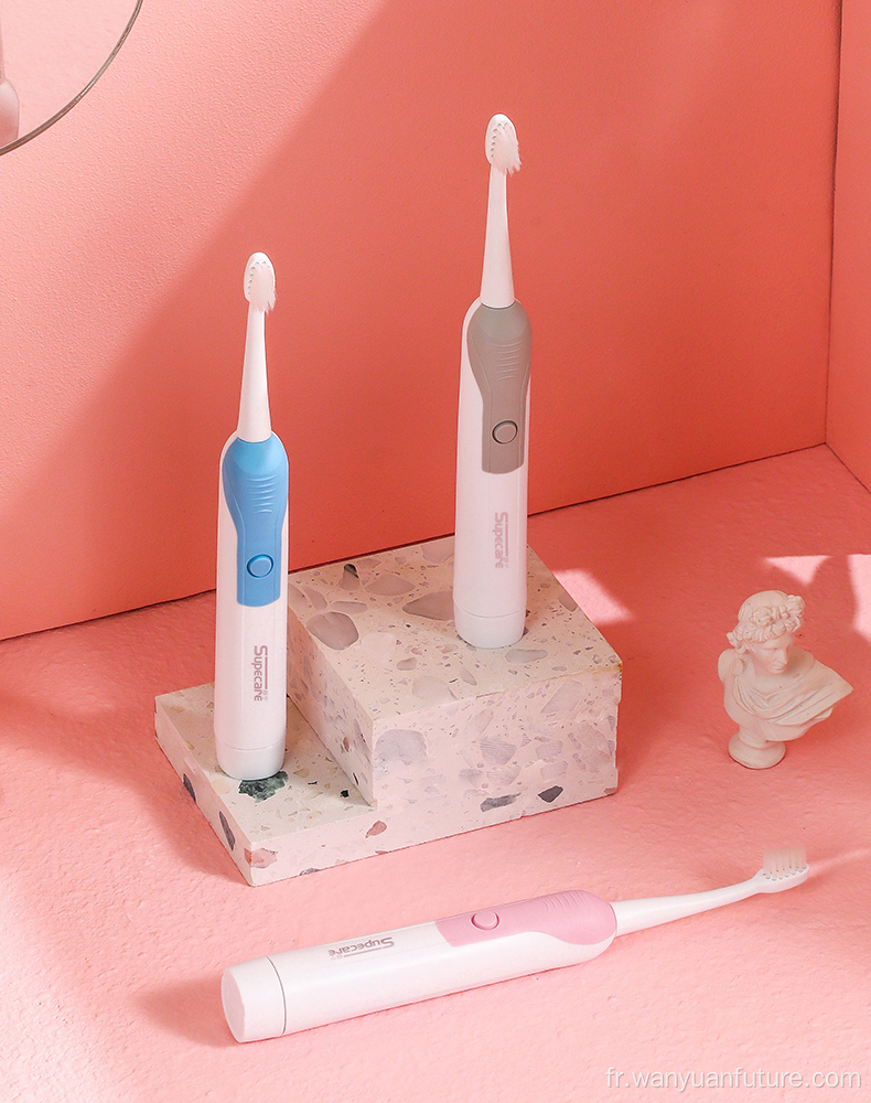 Brosse à dents électrique IPX7 étanche à l'adulte adulte de voyage sonore à dents brosse à dents