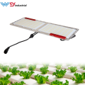 WENYI samsung lm301H LM301B grow light bar led