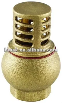 brass check valve, valve, check valve, brass valve, air compressor check valve, swing check valve, spring check valve